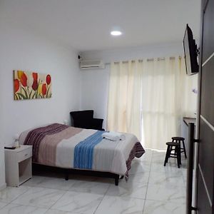 Apartamento de 1 Dormitorio